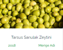 TARSUS SARIULAK